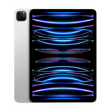 iPad Pro 11" (5th Generation, 2024)